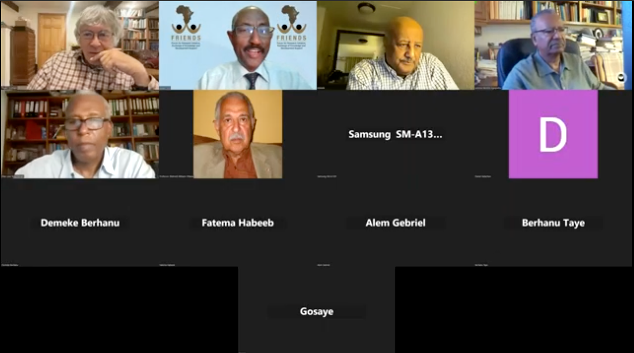 FRIENDS Forum Webinar