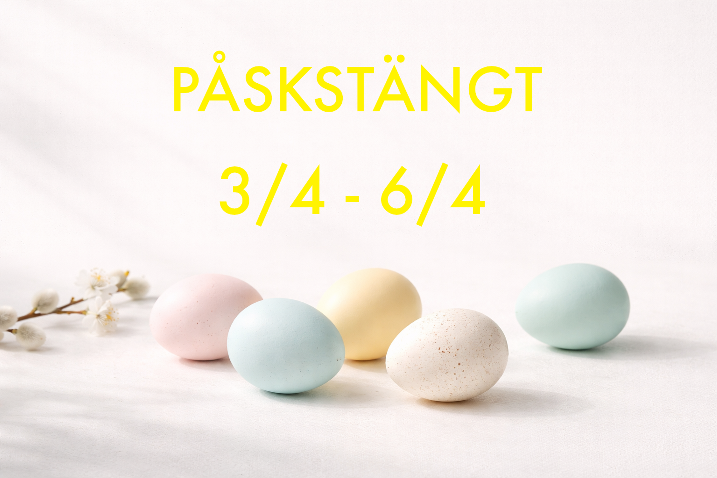 Pastellfärgade påskägg mot vit bakgrund med en videkvist till vänster