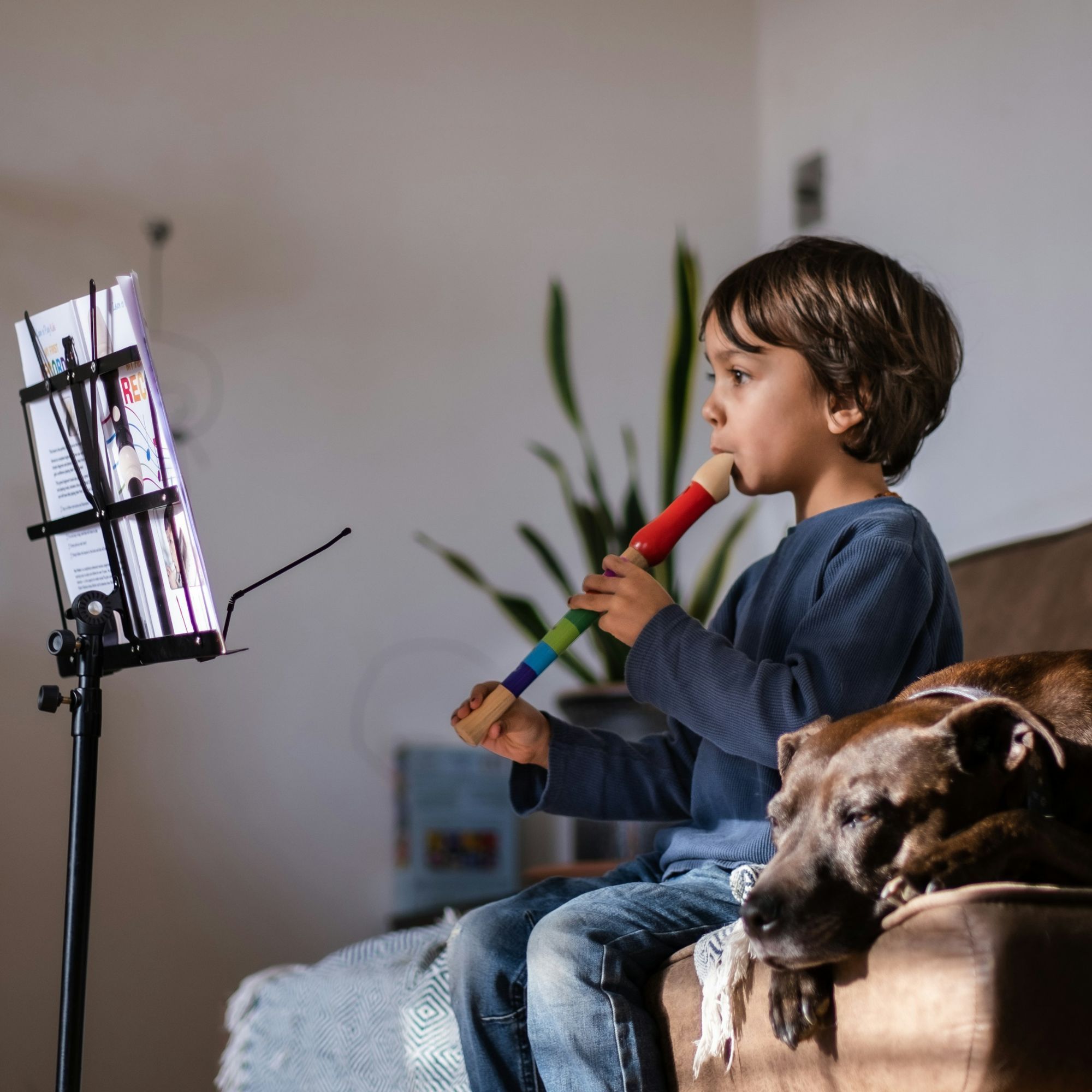 A young boy plays a recorder while a dog sleeps next to him