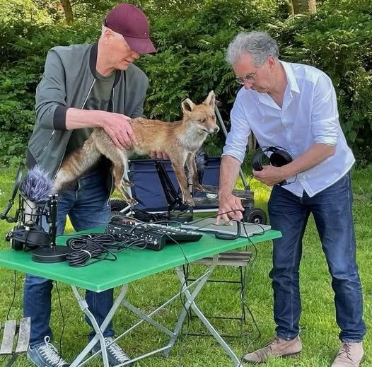 Twee mannen zijn in de weer met opname apparatuur en van de mannen heeft een opgezette vos vast.
