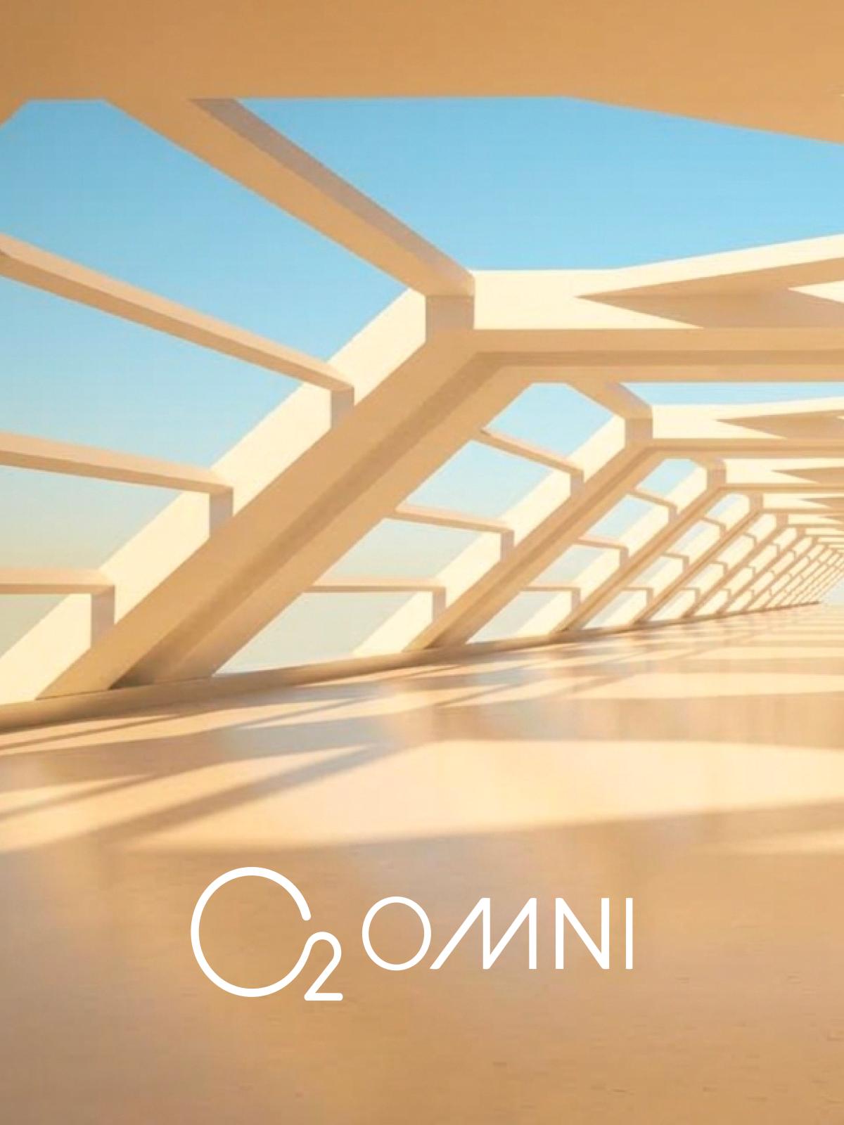 Sunlit modern architecture, angular beams crossing against a clear sky.