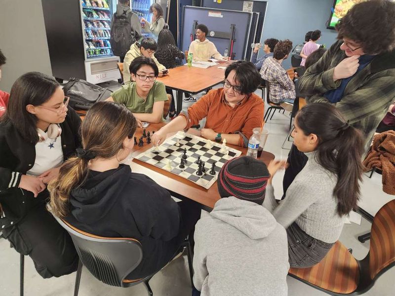 Chess activity