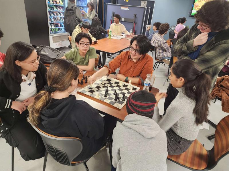 Chess activity