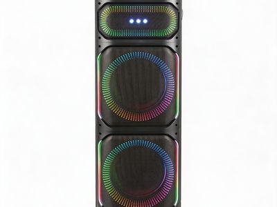 Dual 12-Inch Wooden Party Speaker