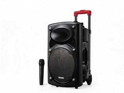 12-Inch Portable Trolley Speaker