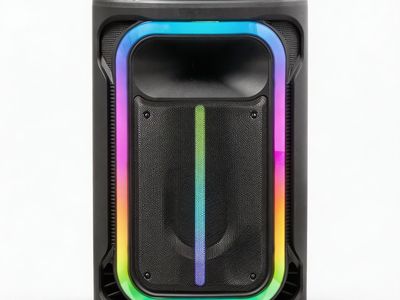 12-Inch Portable Karaoke Trolley Speaker