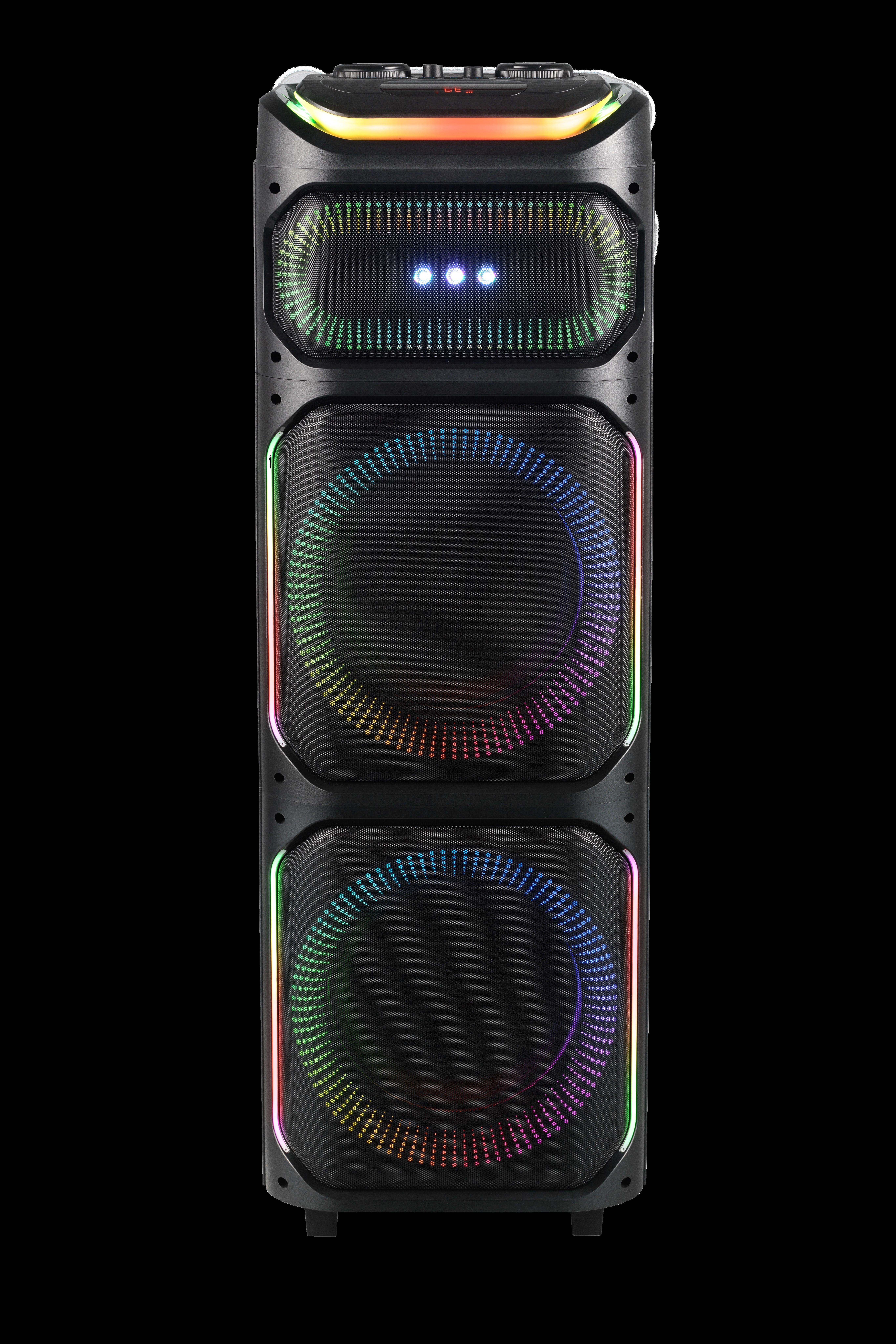 Dual 12-Inch Wooden Party Speaker