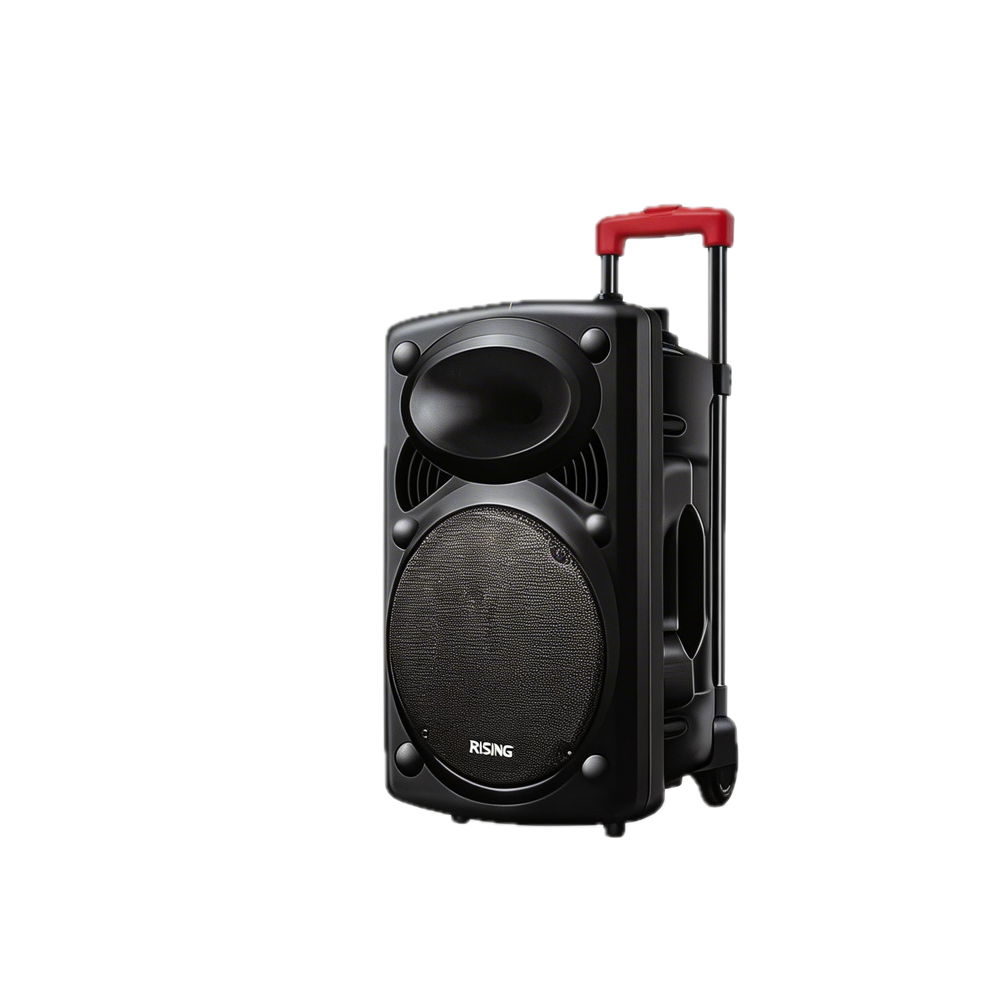 12-Inch Portable Trolley Speaker