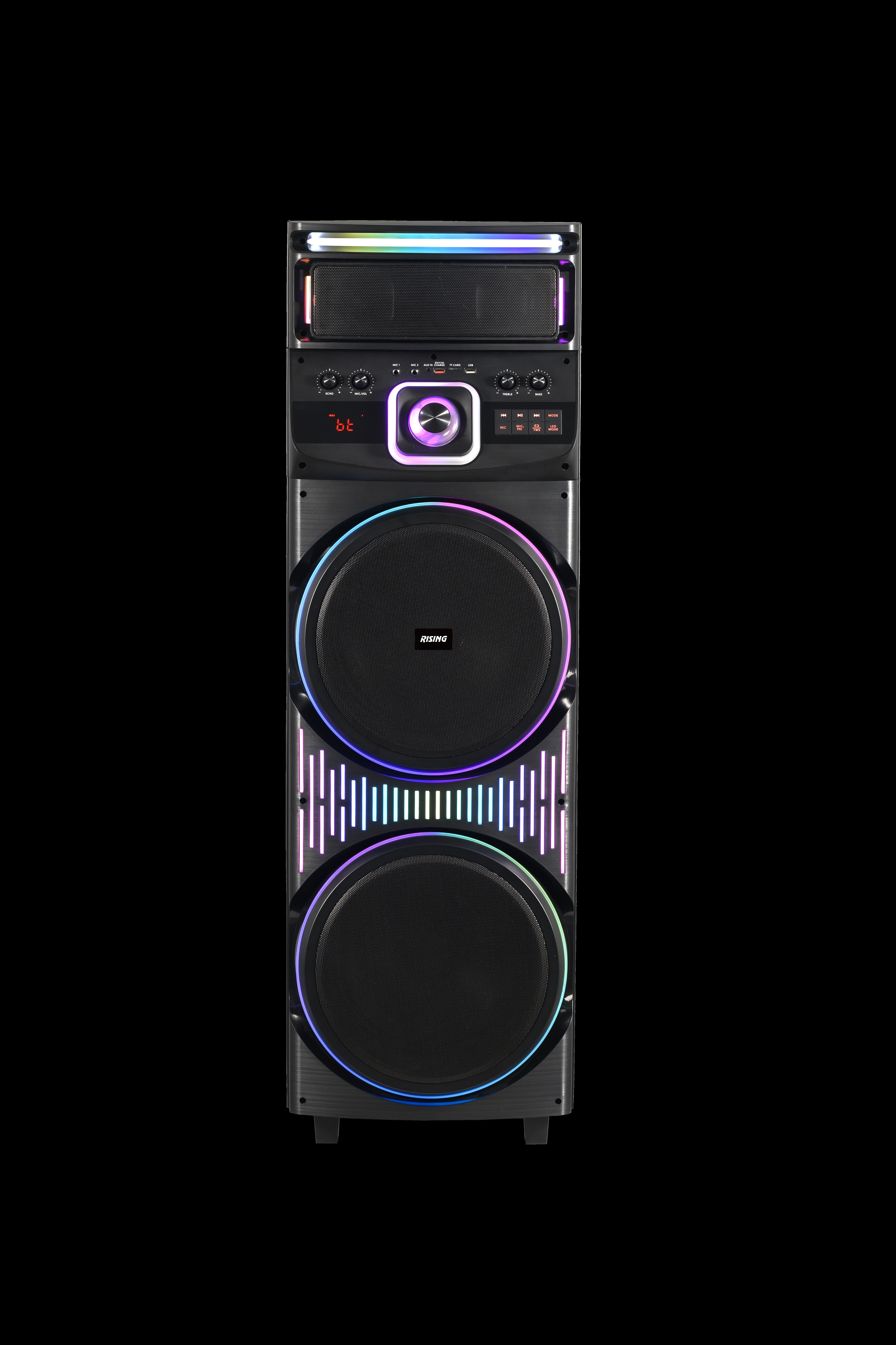 Dual 12-Inch Subwoofer Wooden Party Speaker