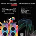 10-Inch Portable Karaoke Speaker view 3
