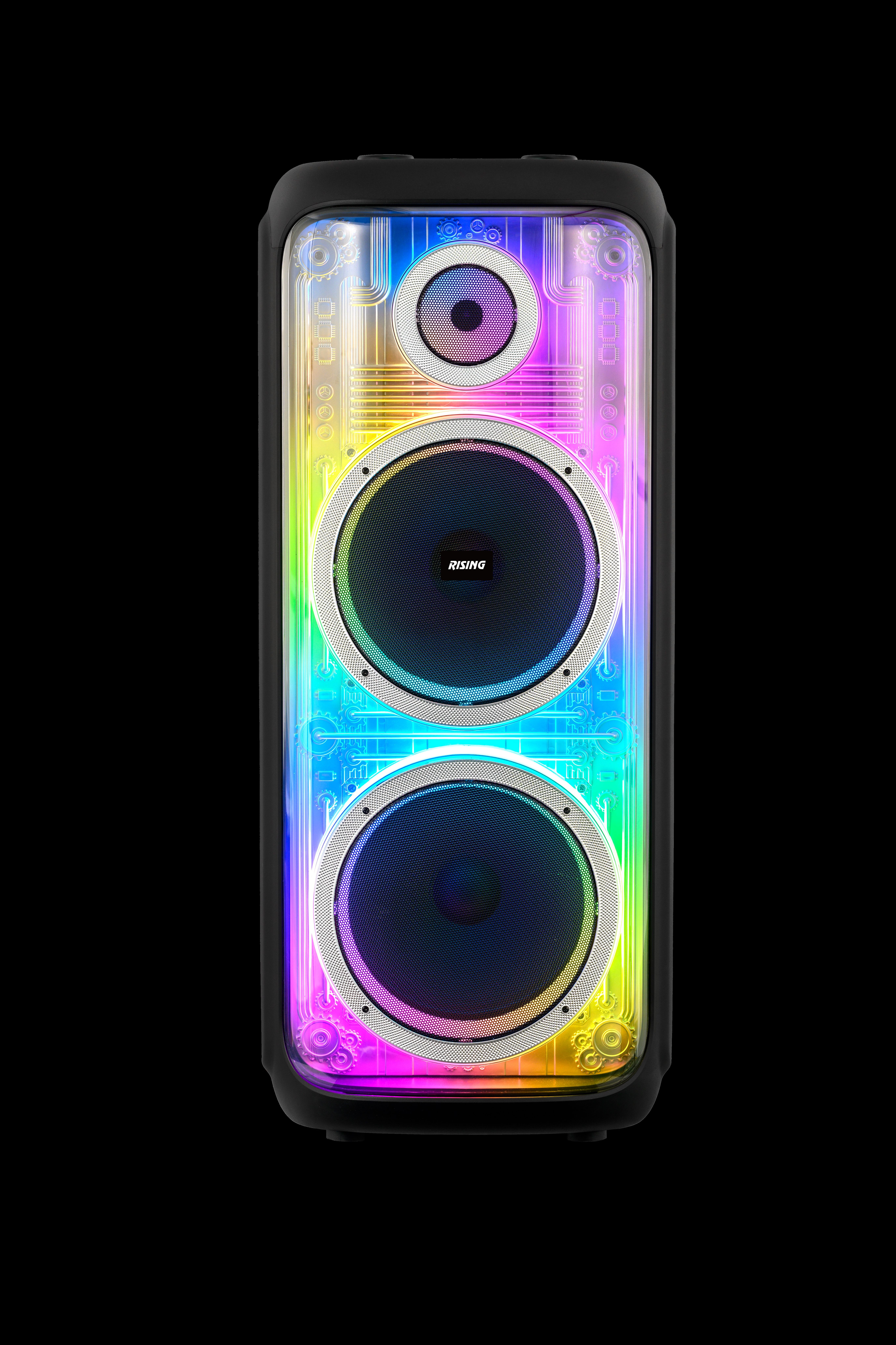 10-Inch Portable Karaoke Speaker