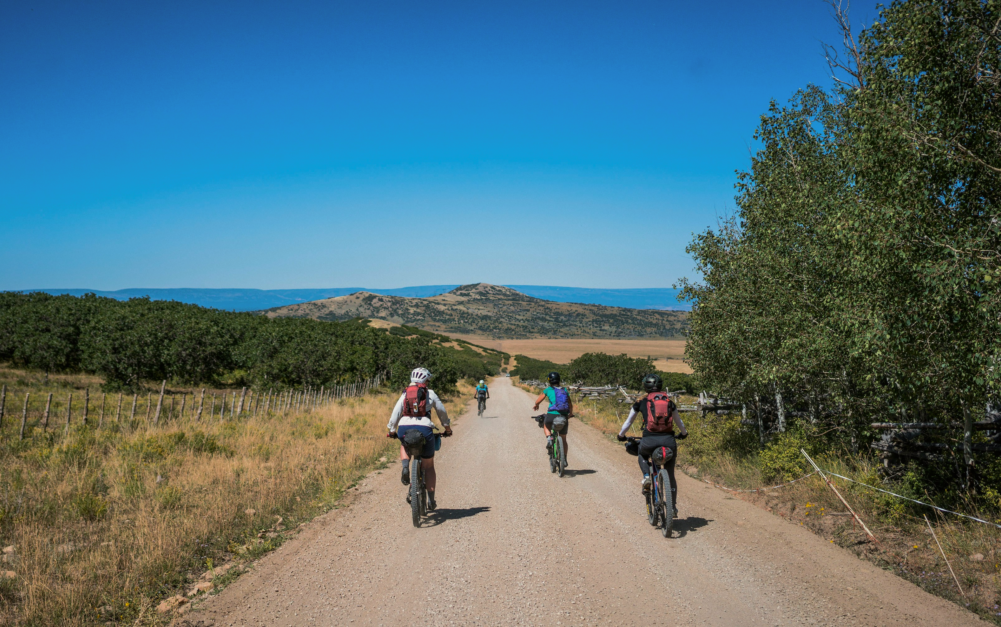 Co-Create & Food Trucks