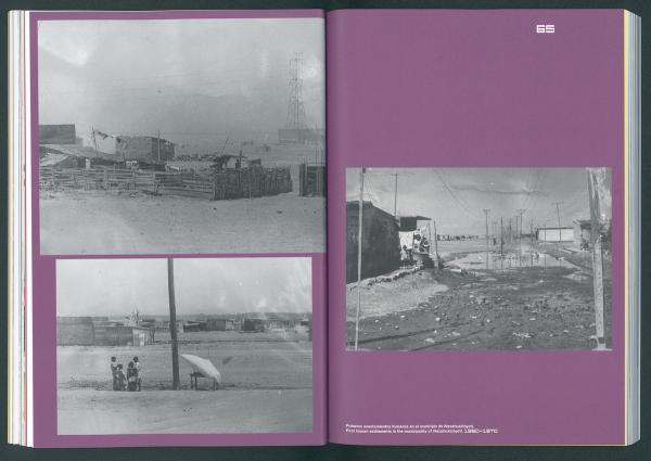 Vultures & Fireflies