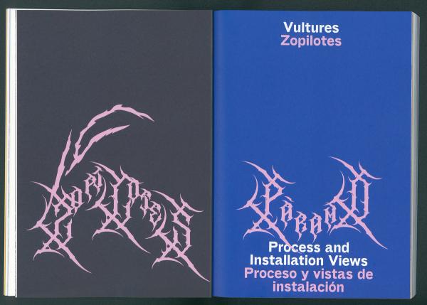 Vultures & Fireflies