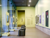 AMMA Foundation Mexico