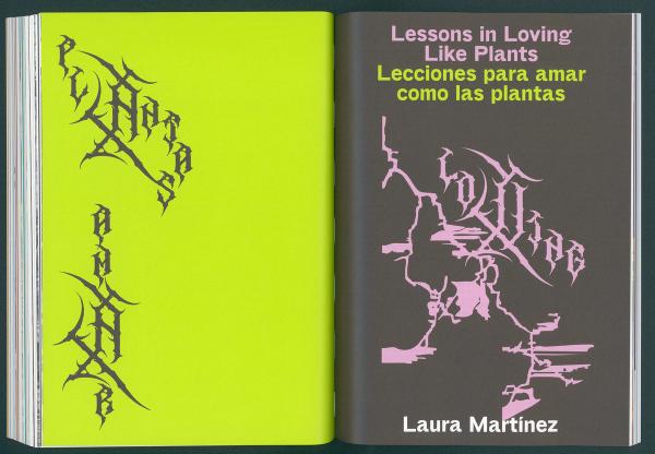 Vultures & Fireflies