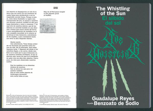 Vultures & Fireflies