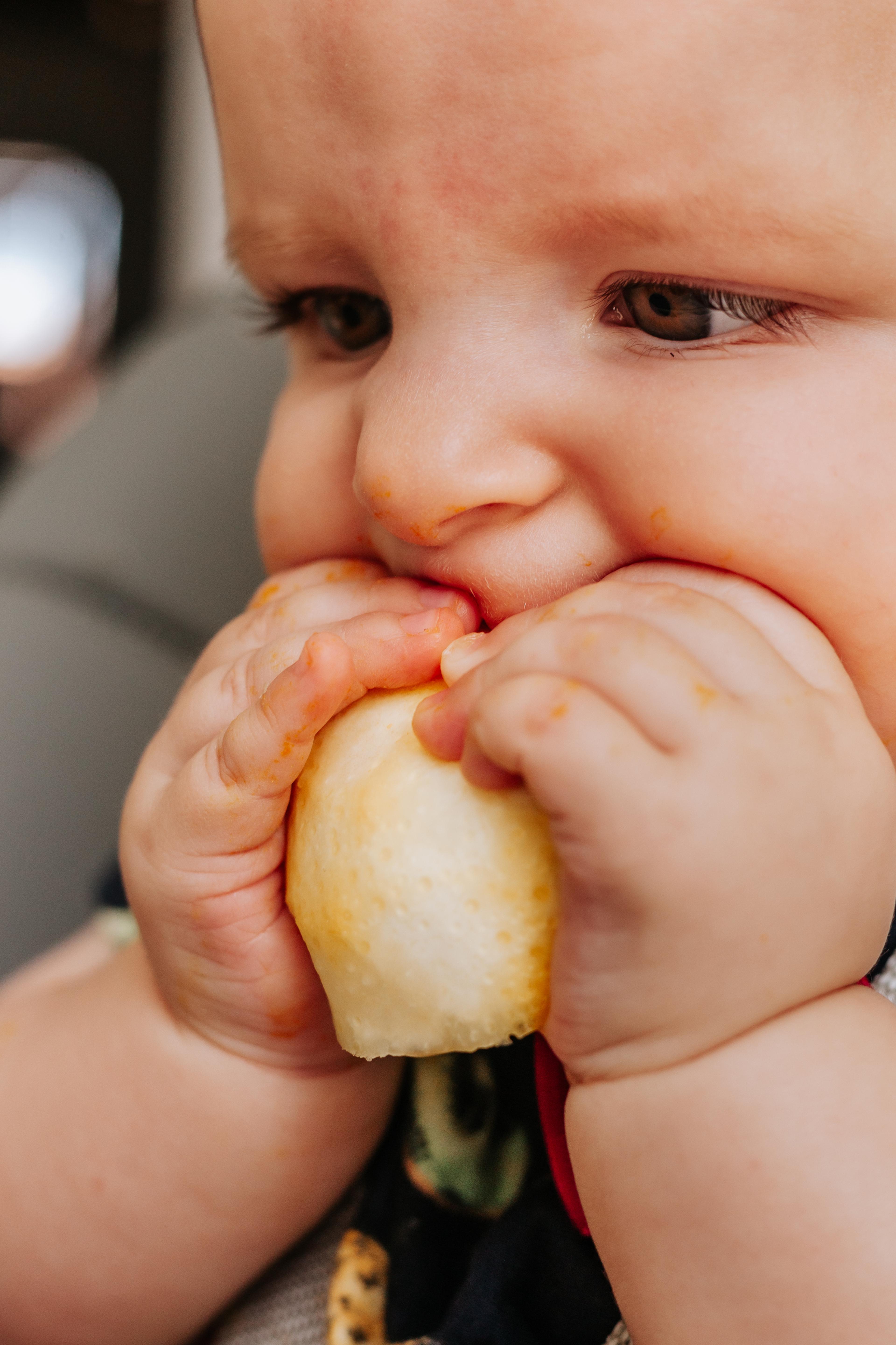 bebe 6 meses em introdução alimentar