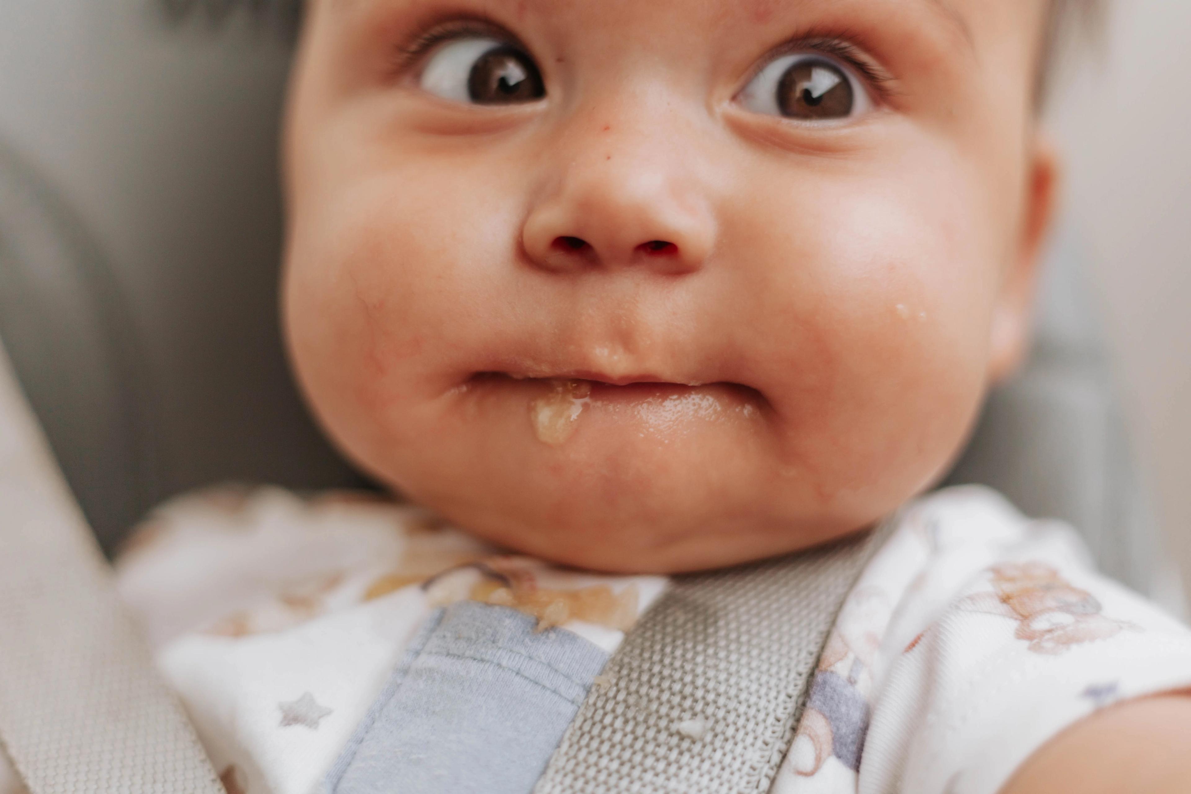 introdução alimentar bebe