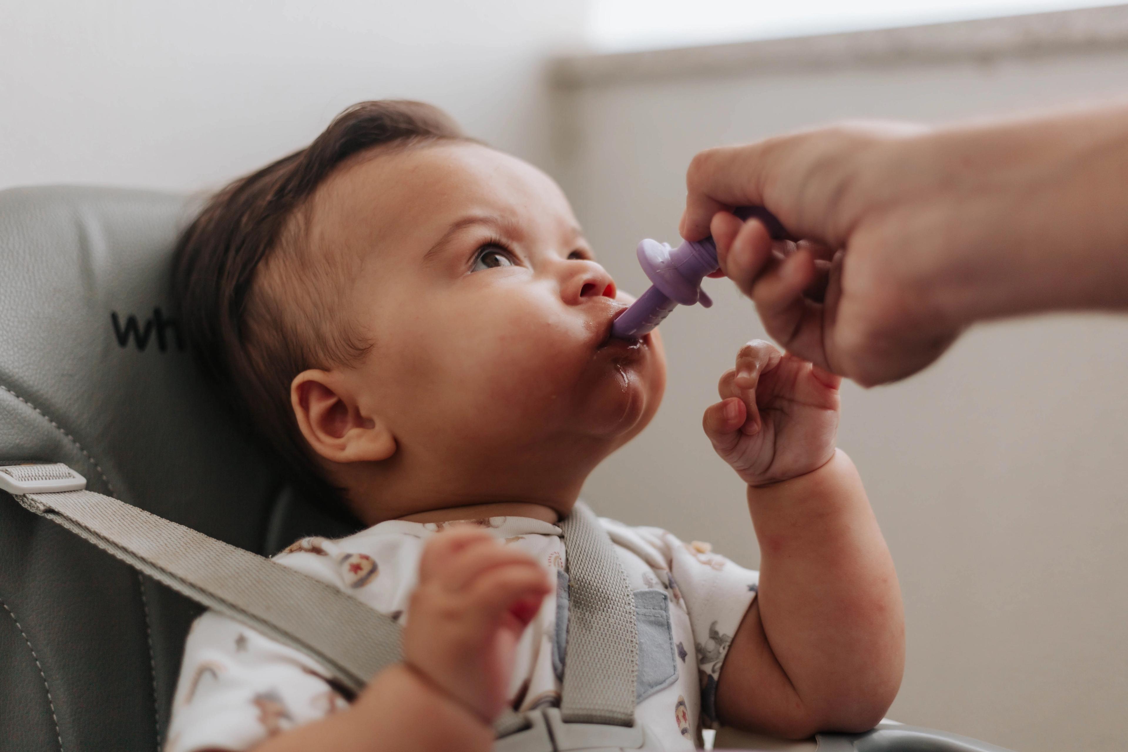 introdução alimentar bebe