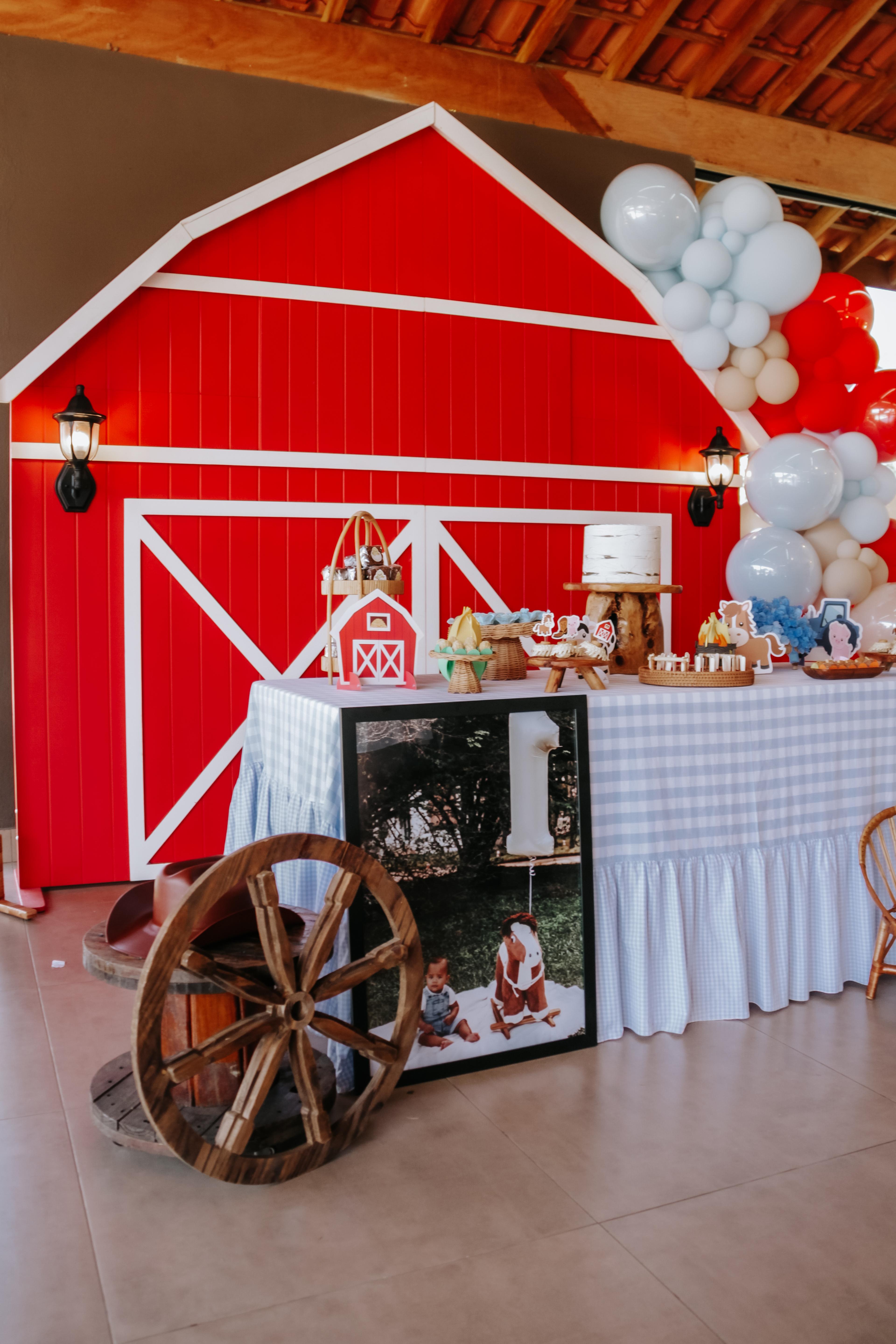 Akin 1 ano — ensaio de aniversário em Piracicaba (foto 4 de 8)