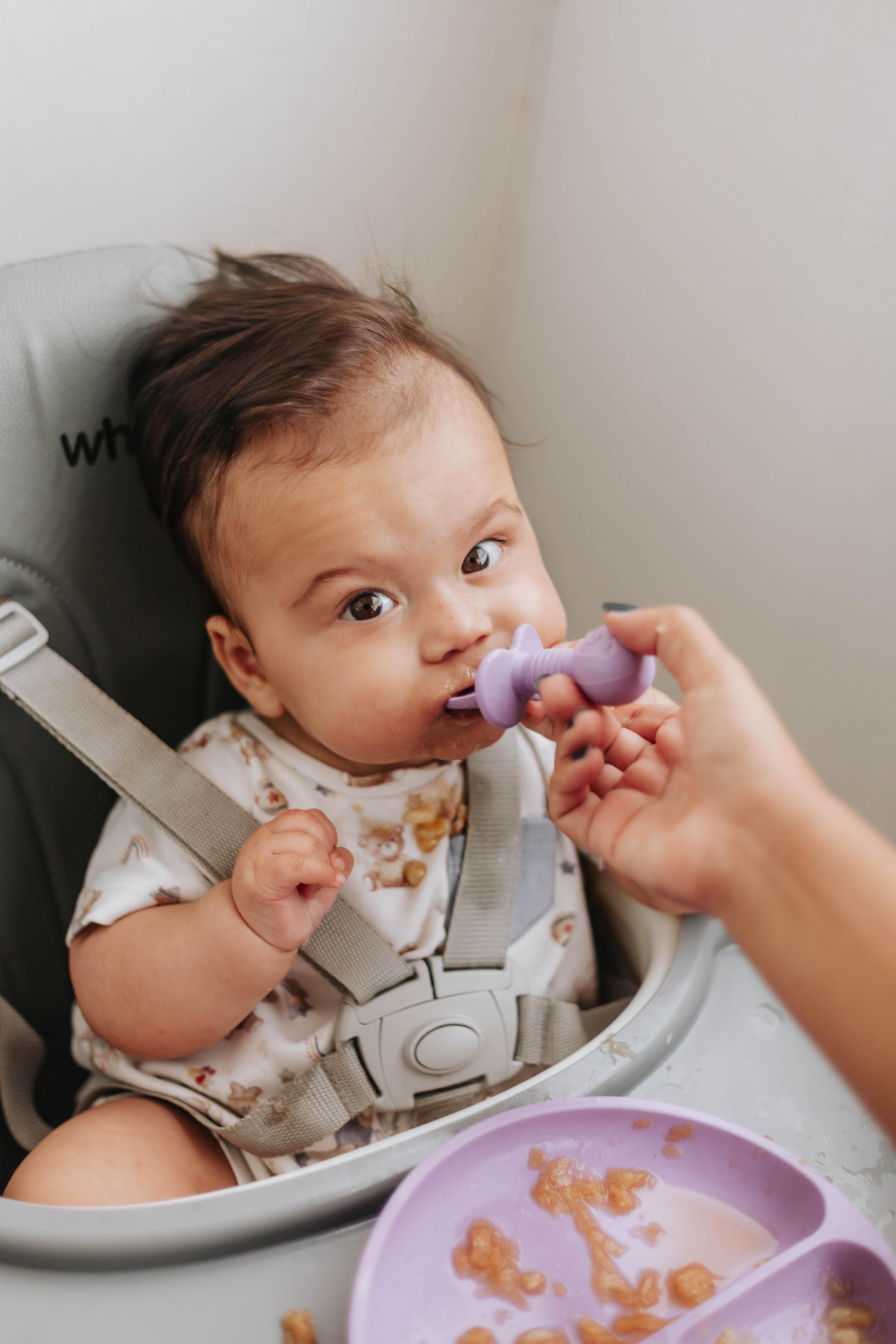 introdução alimentar bebe