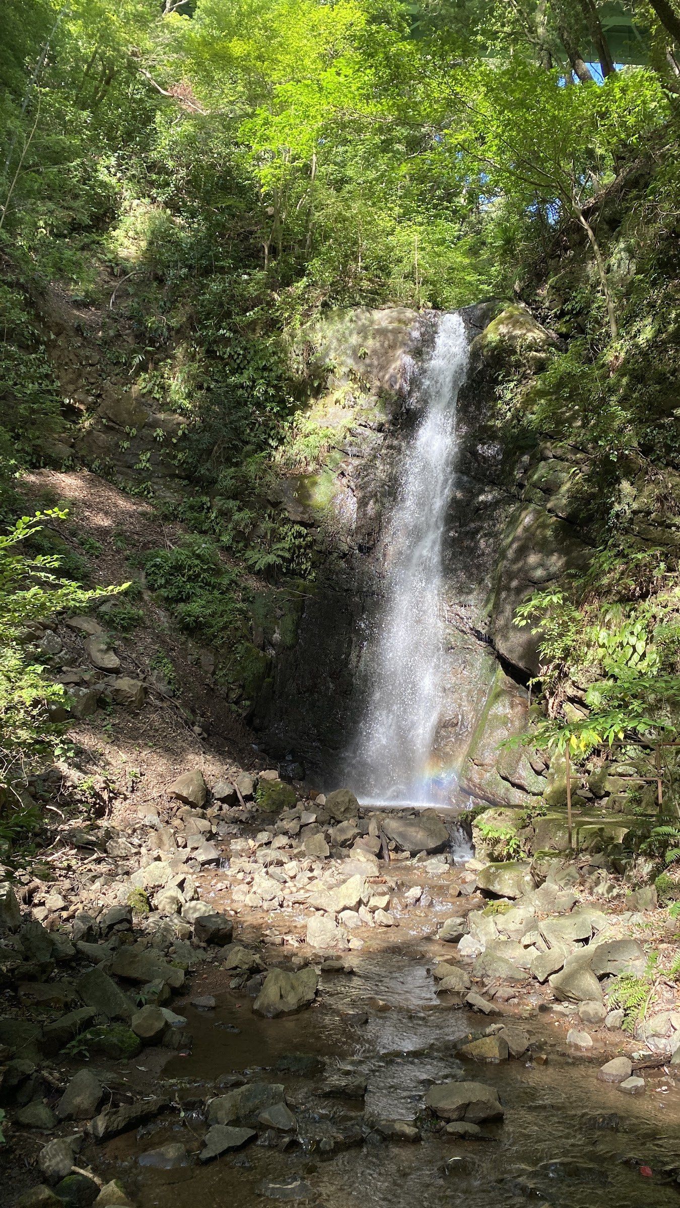 A waterfall descending through a wooded ravine