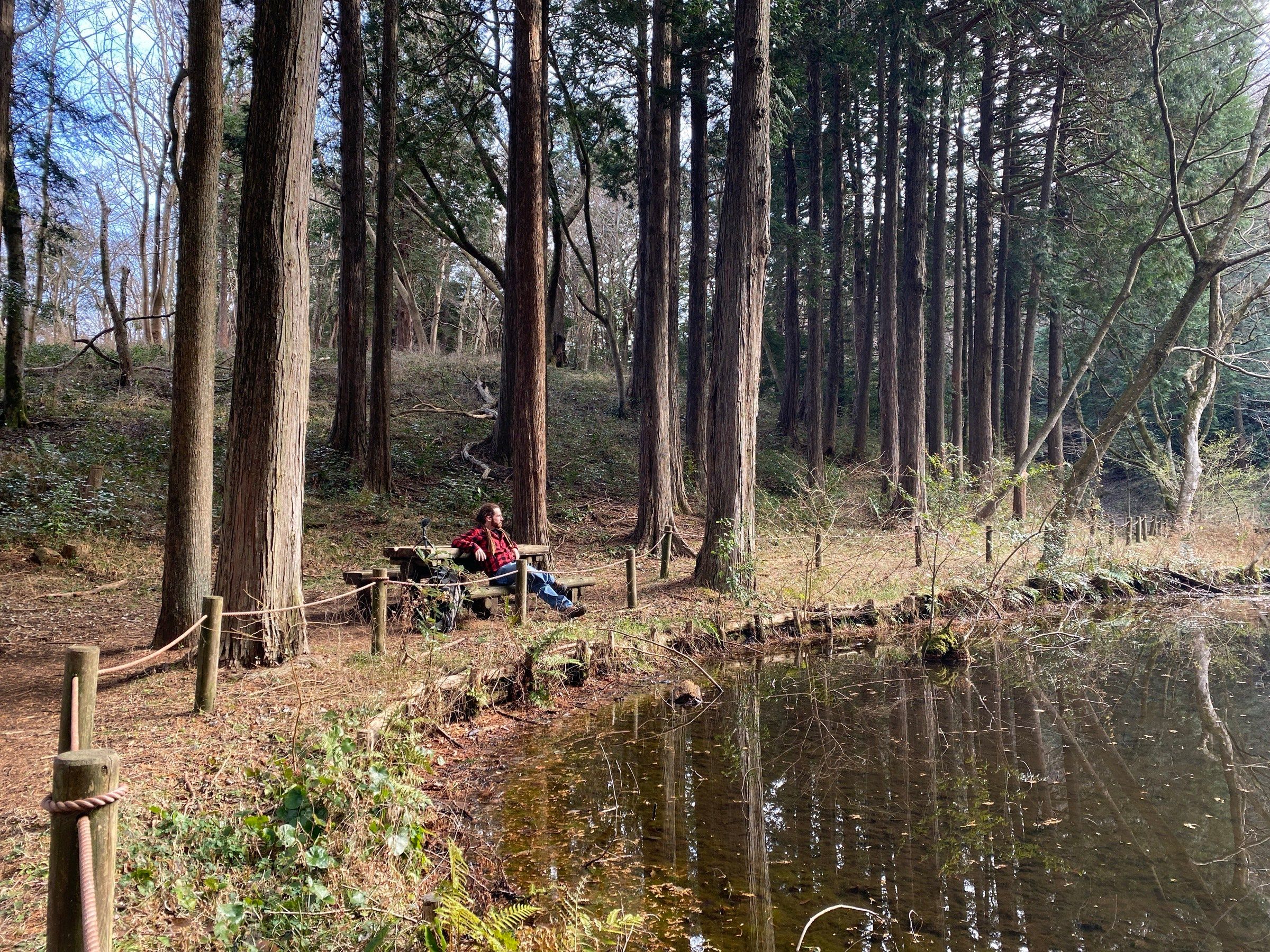 A quiet onsen stay in Yugawara