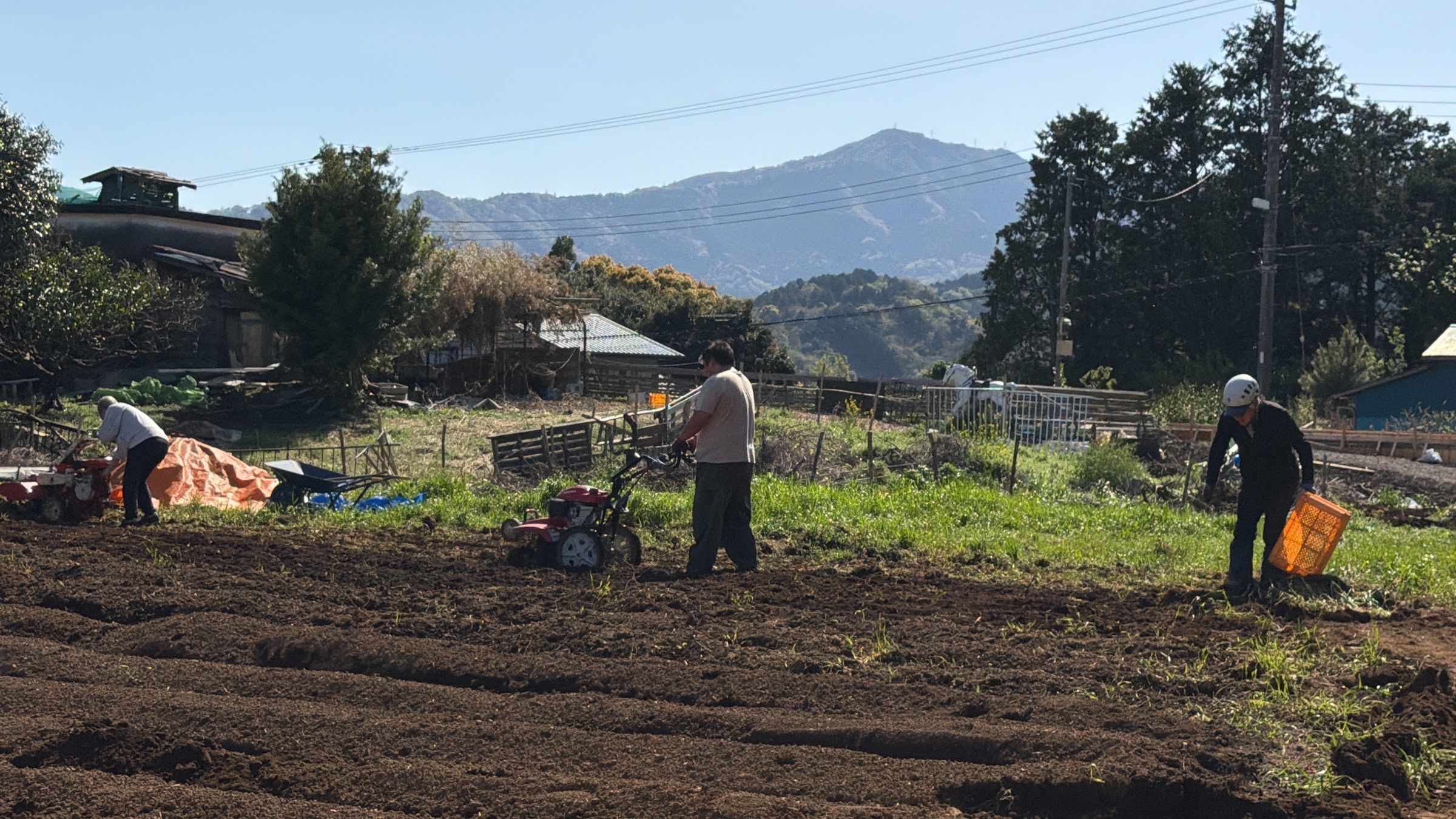 Two people working cultivated rows on a small farm