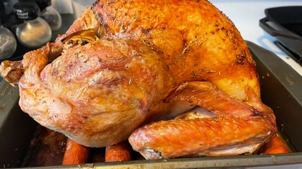 Cooked turkey in a pan