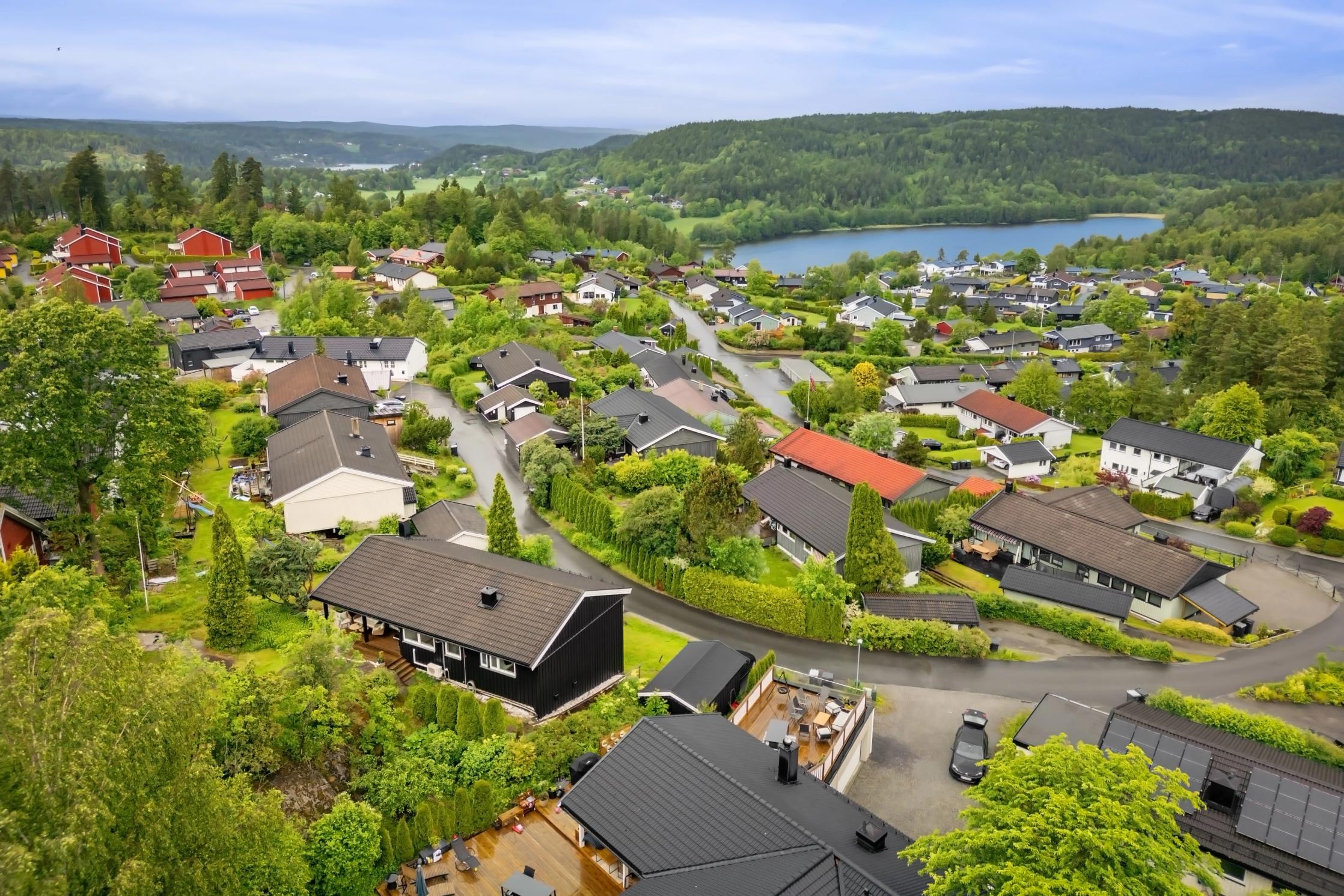 Veletablert boligområde.
