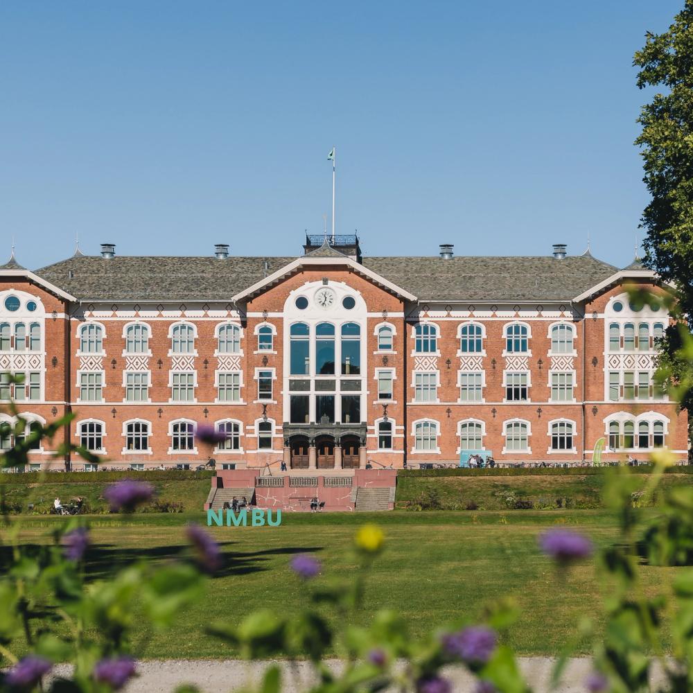Norges Miljø- og Biovitenskaplige Universitet. Foto