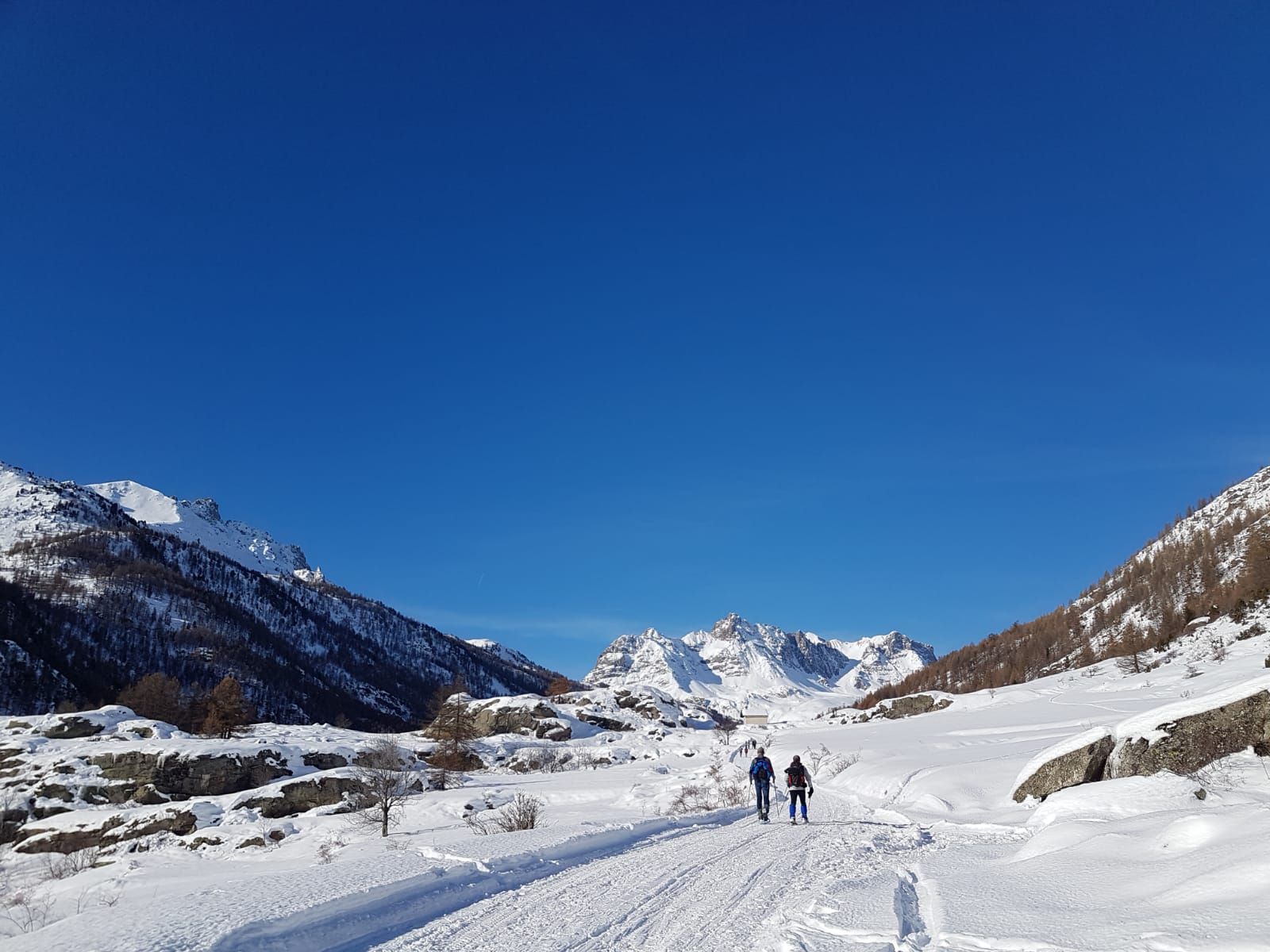 Nordic skiers enjoying the Névache high valley