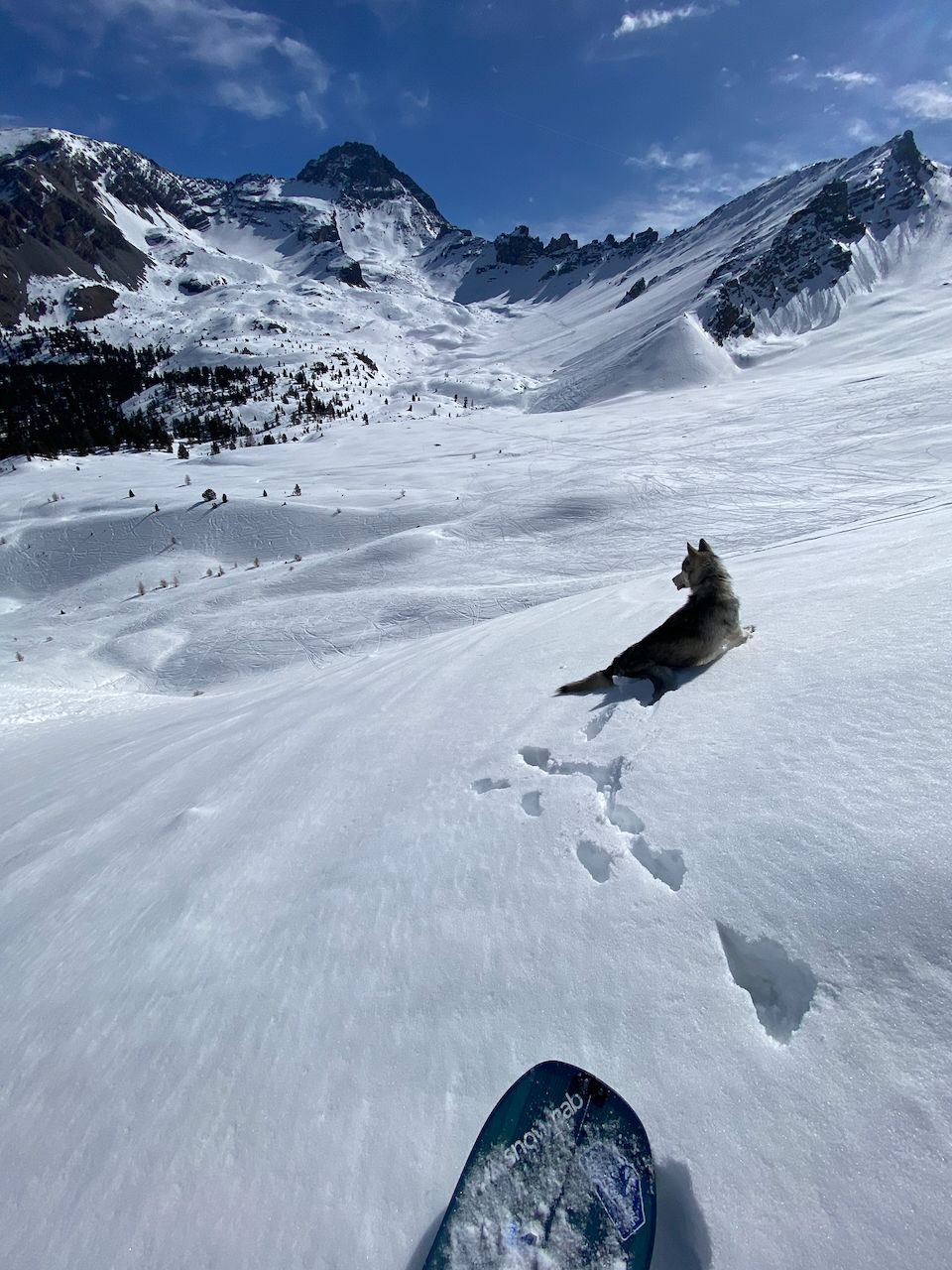 Splitboarder with his husky explore the Cervières backcountry 