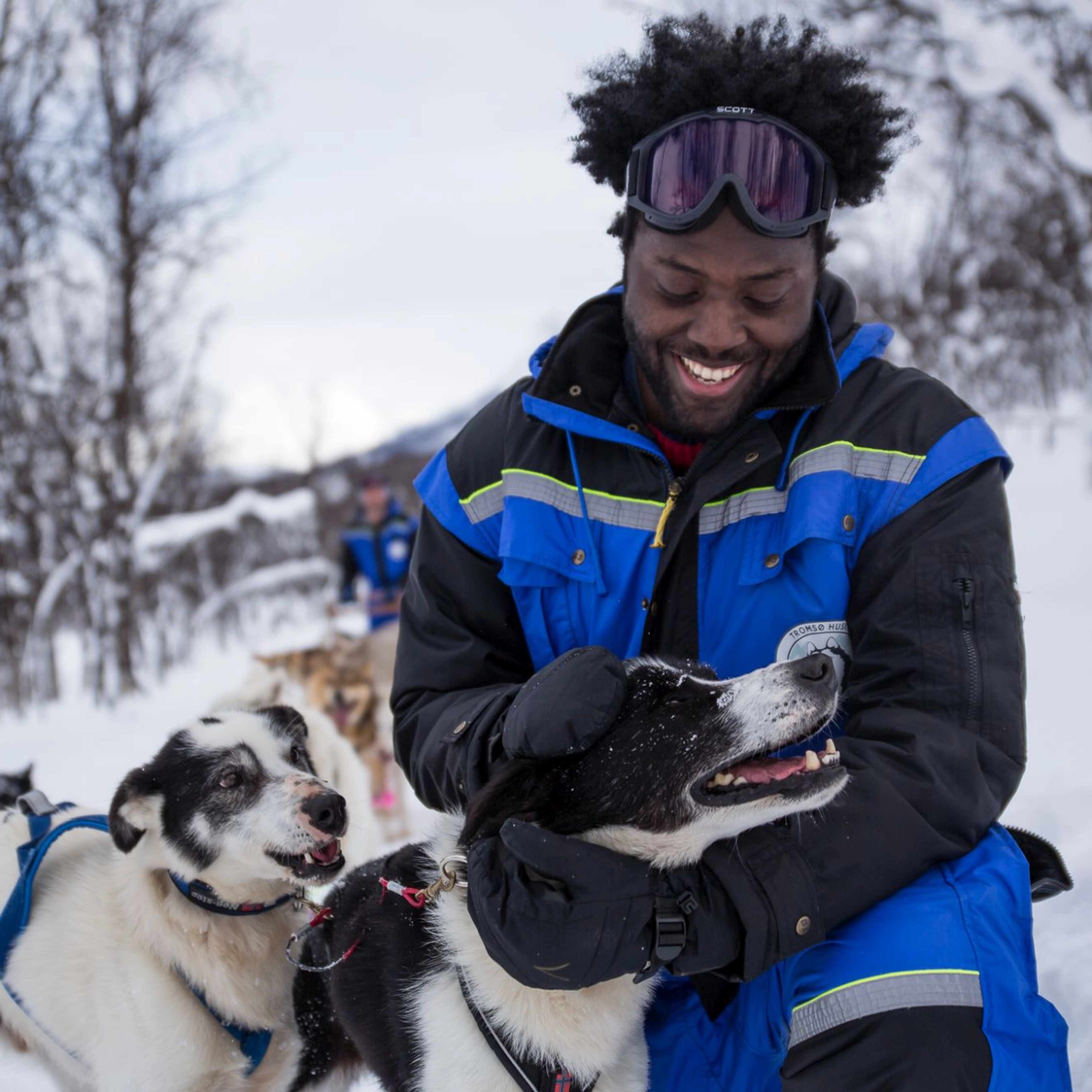 Happy huskies on a sleigh ride in Tromsø, Norway