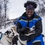 Happy huskies on a sleigh ride in Tromsø, Norway