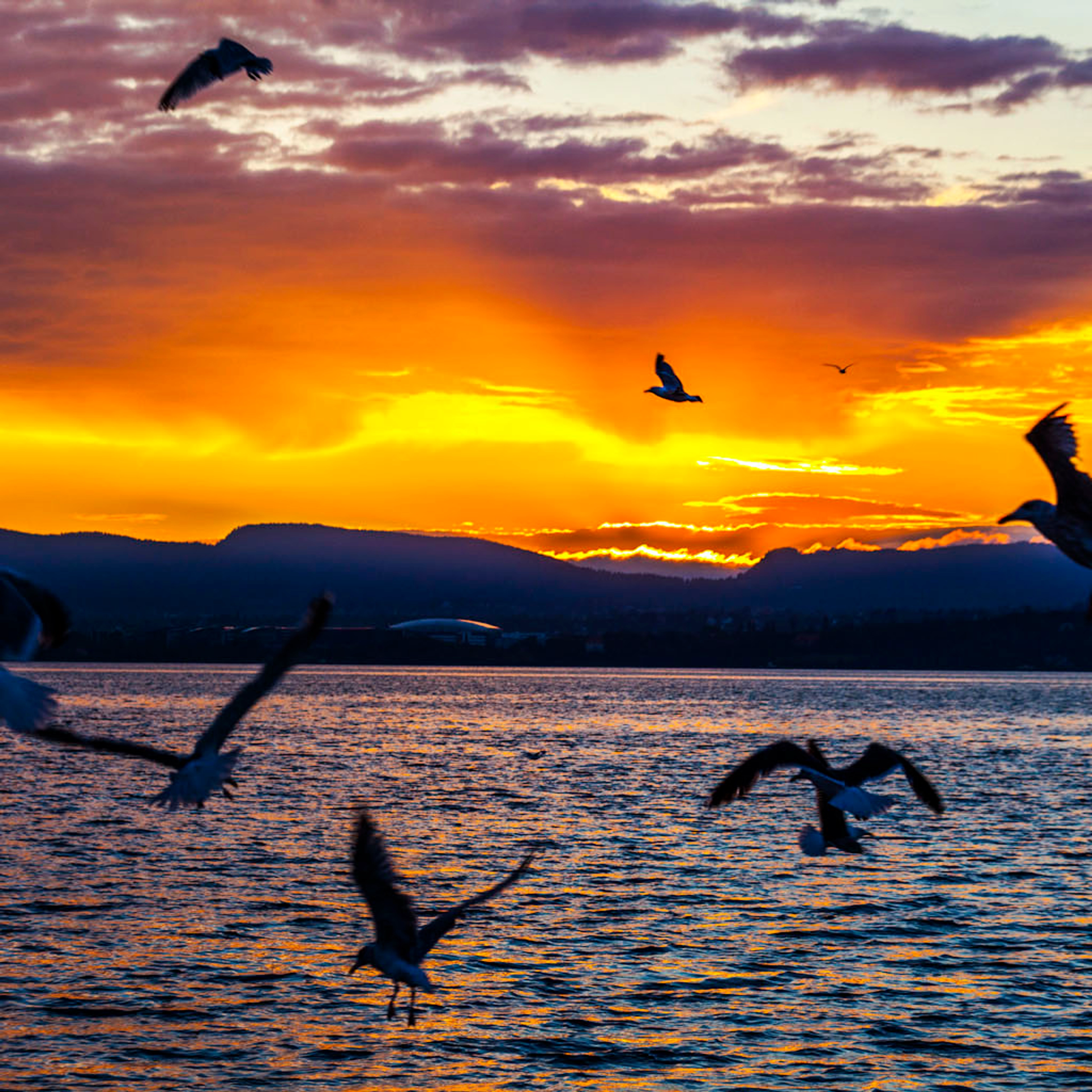 Sonnenuntergang – Fjordkreuzfahrt auf dem Oslofjord mit Garnelenbuffet – Oslo, Norwegen