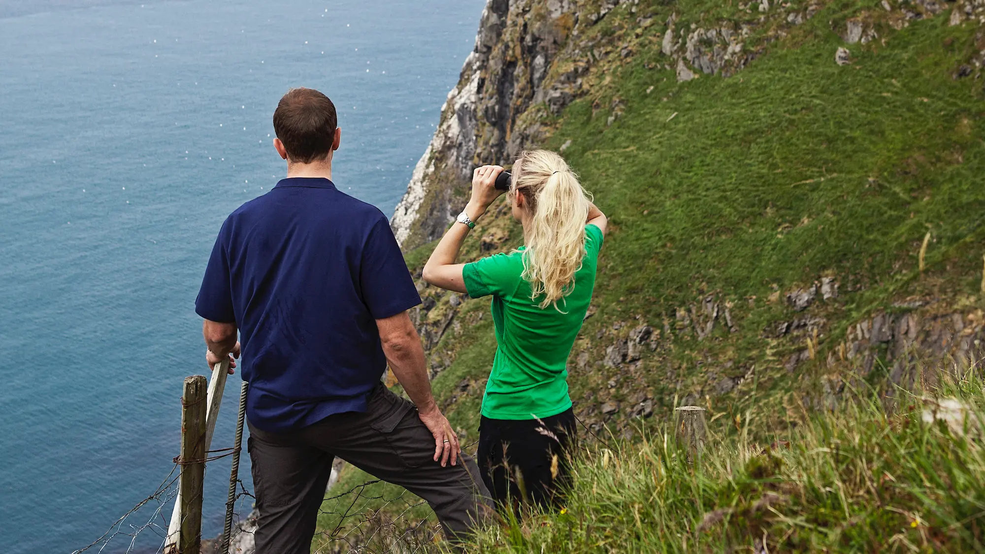 bird-watching-birds-in-norway