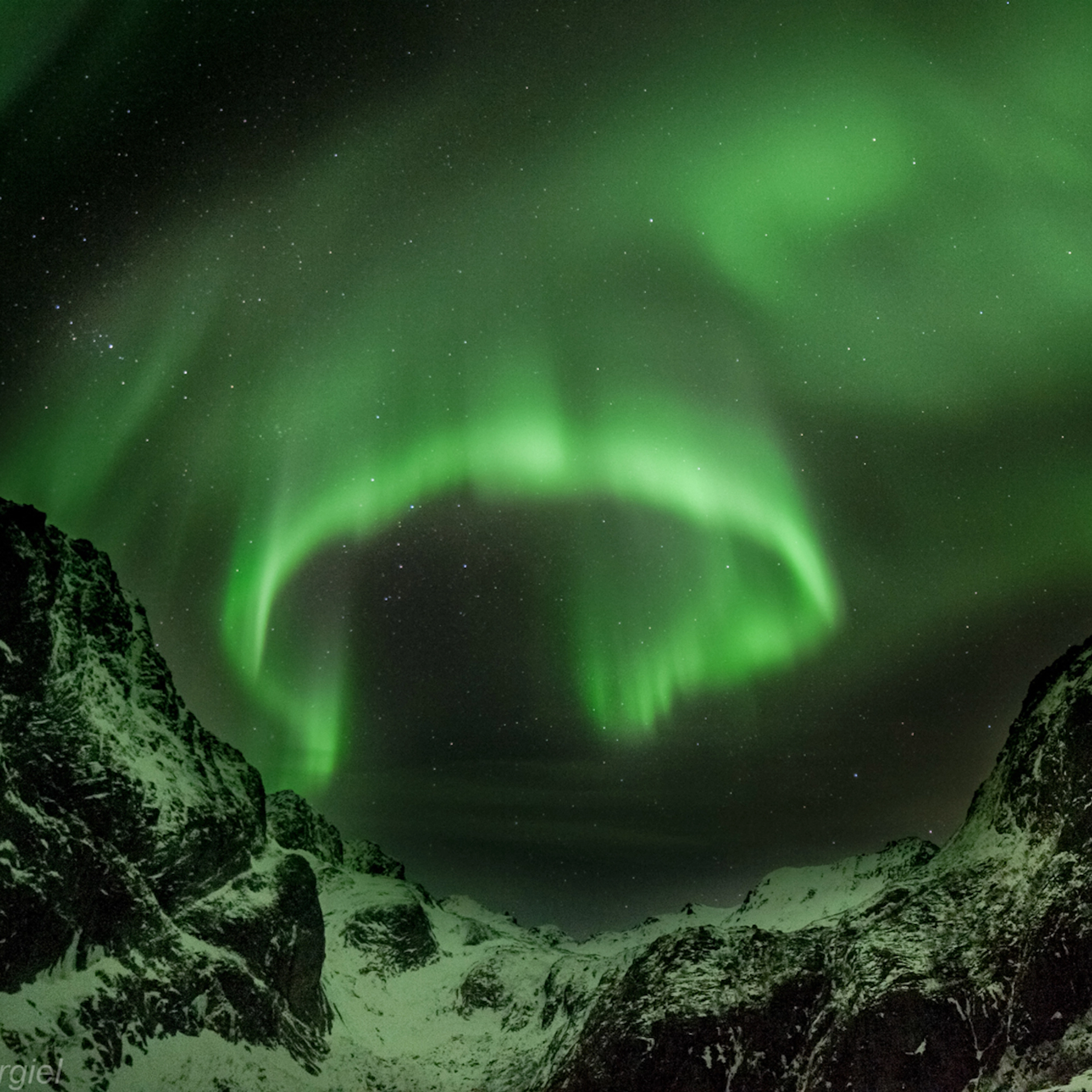 Nordlicht-Fototour in Reine - Das ultimative Arktis-Erlebnis - Aktivitäten auf den Lofoten, Reine, Norwegen