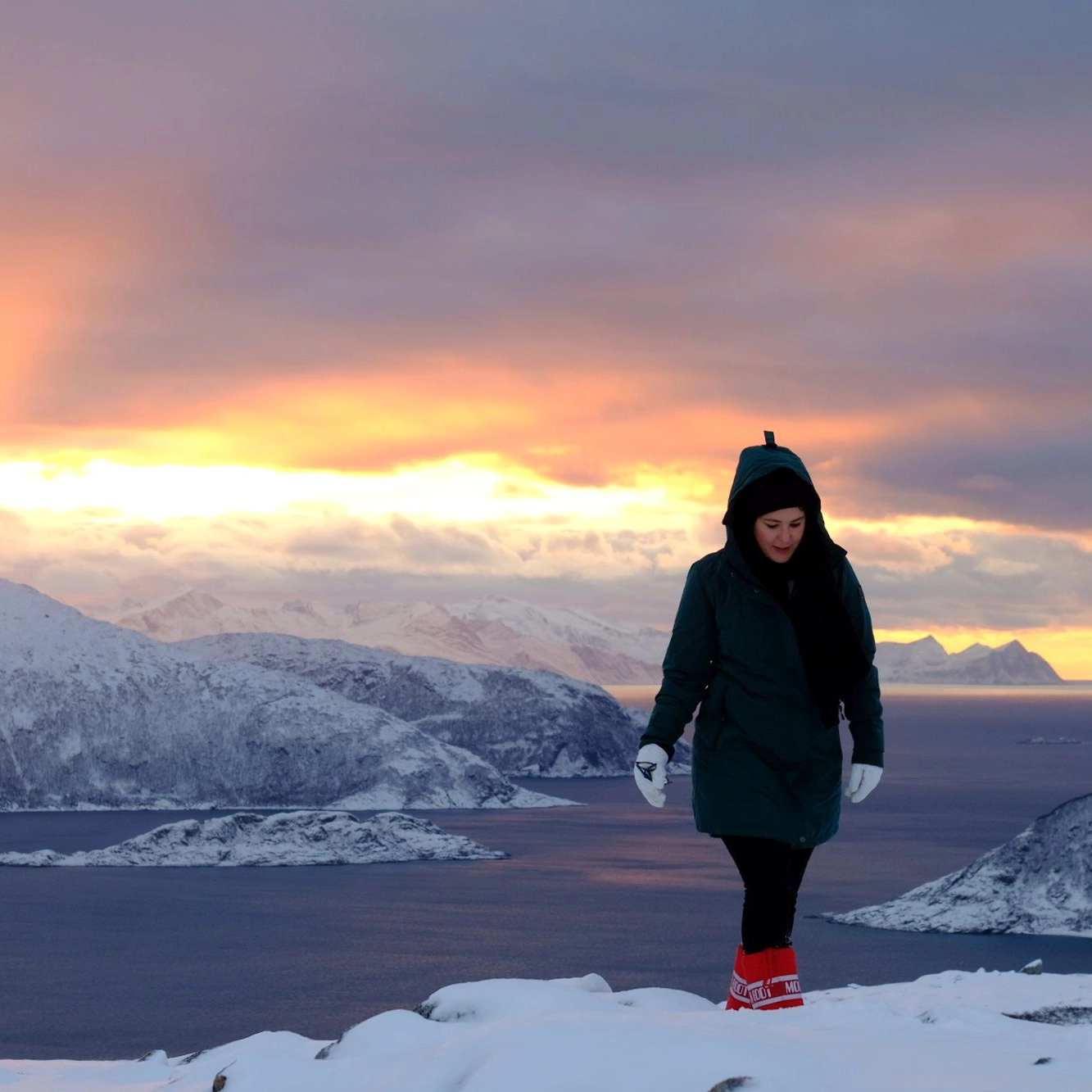 Activities in Tromsø - Coastal Scenery Safari with Local Lunch in Tromsø - Norway