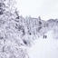 Verschneiter Tag auf Schneeschuhen in Raundalen - Voss, Norwegen
