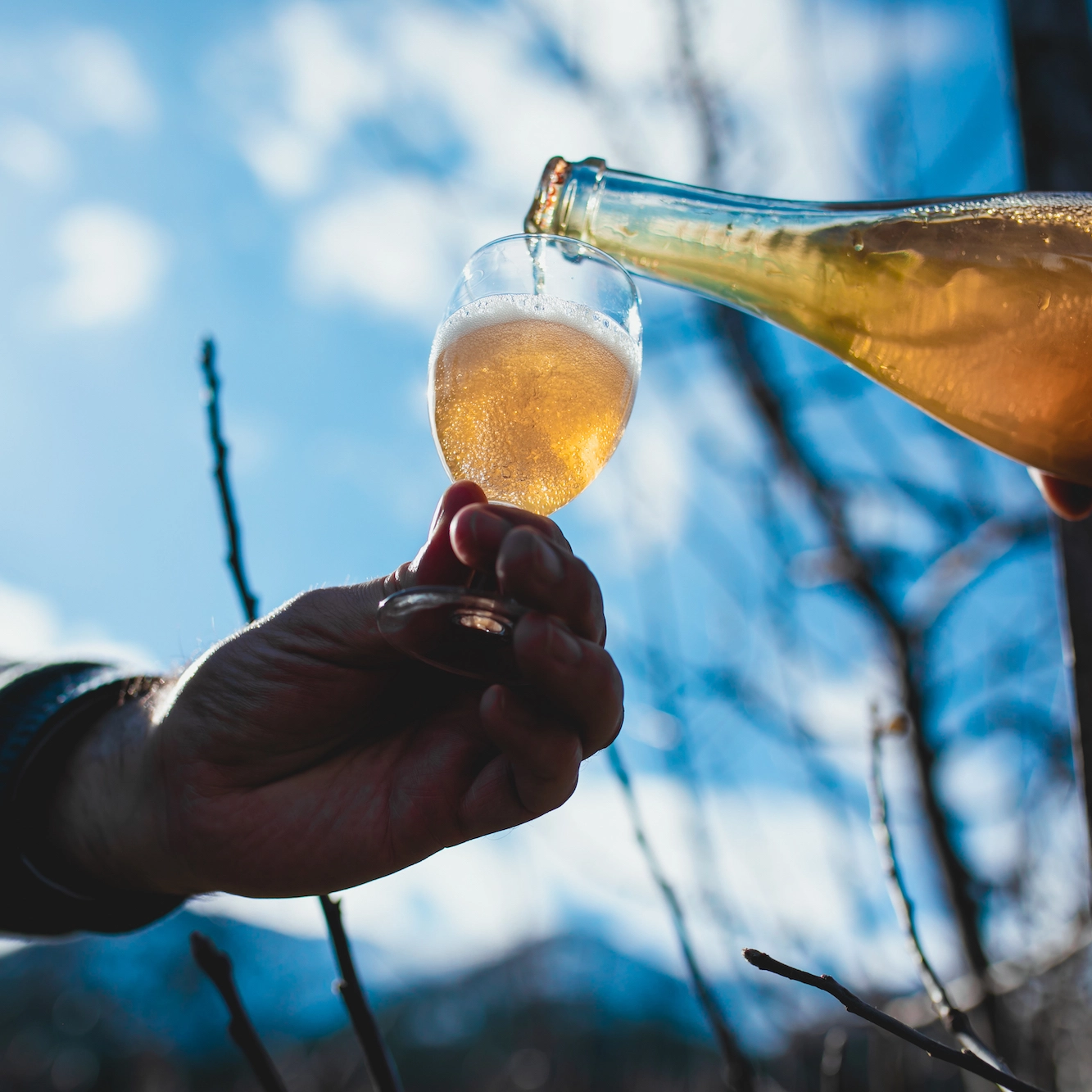 Ciderhuset i Balestrand Ciderhuset i Balestrand - Sognefjorden
