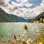Summer flowers by the Sognefjord - Sogndal, Norway