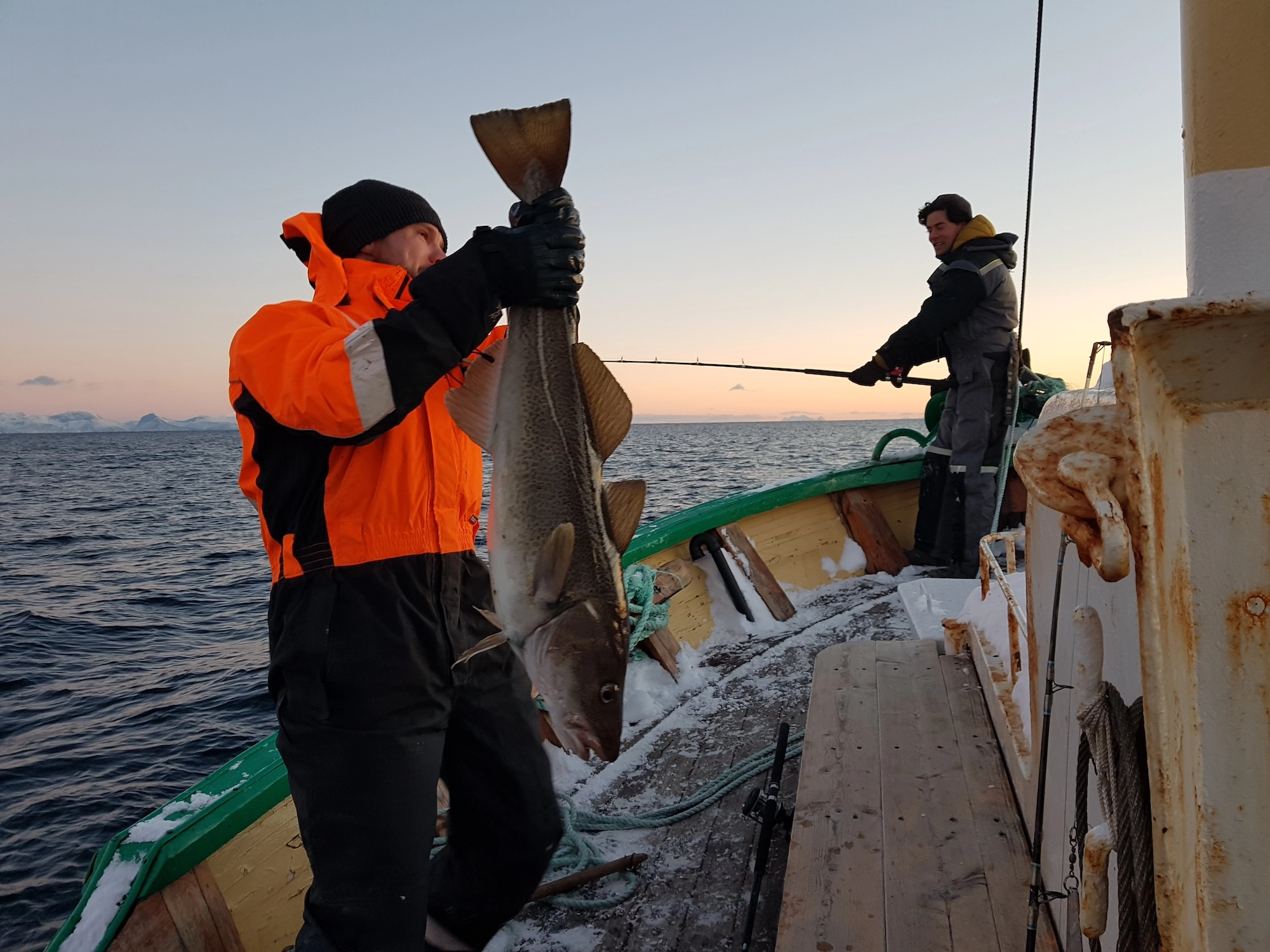 Fishing in Lofoten Fishing trip in Lofoten - Things to do in Svolvær - Lofoten, Norway