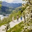 Hiking among the Orchards in Ulvik - Hardanger, Norway