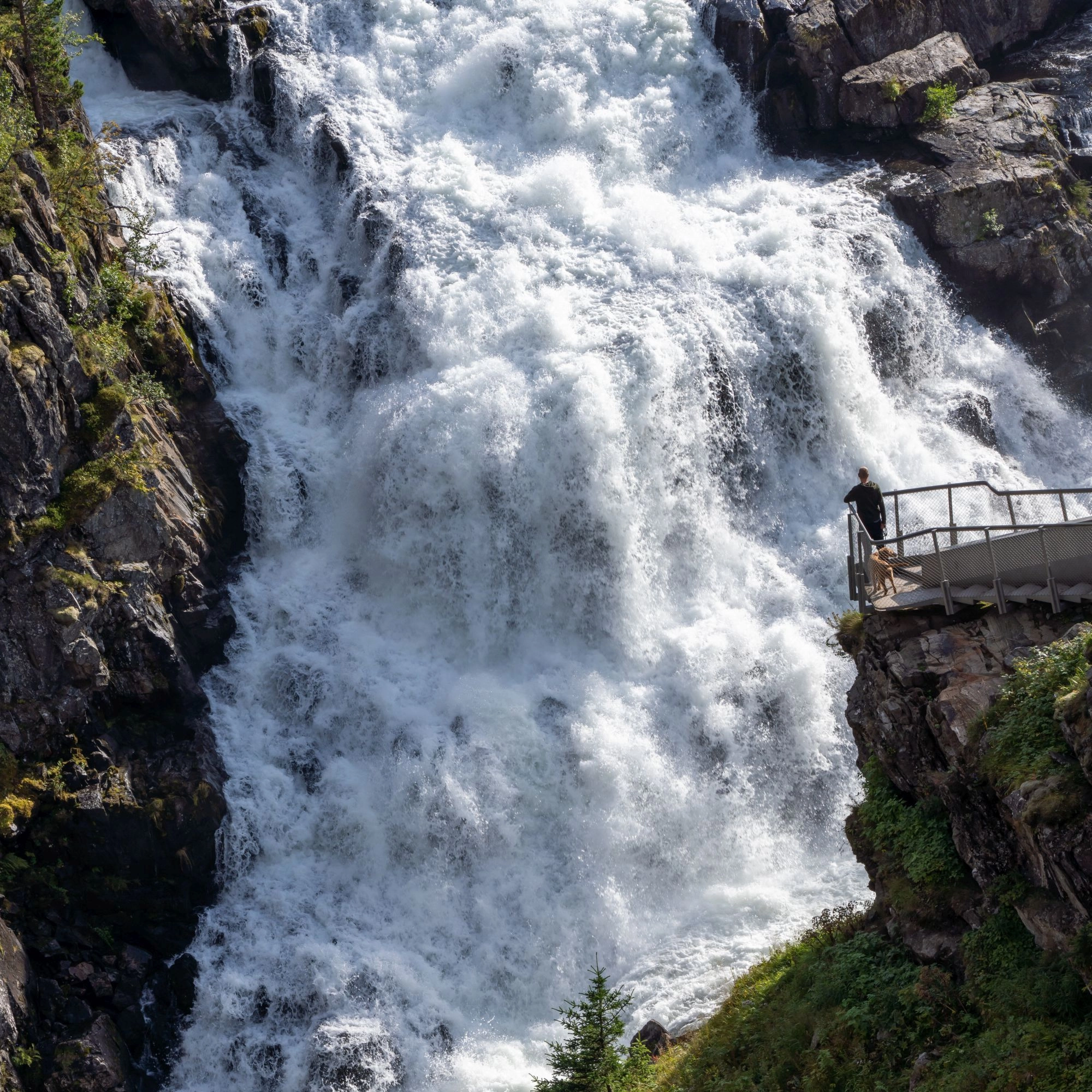 Ausflug zum Vøringsfossen von Eidfjord - Wasserfall Vøringsfoss - Eidfjord, Norwegen