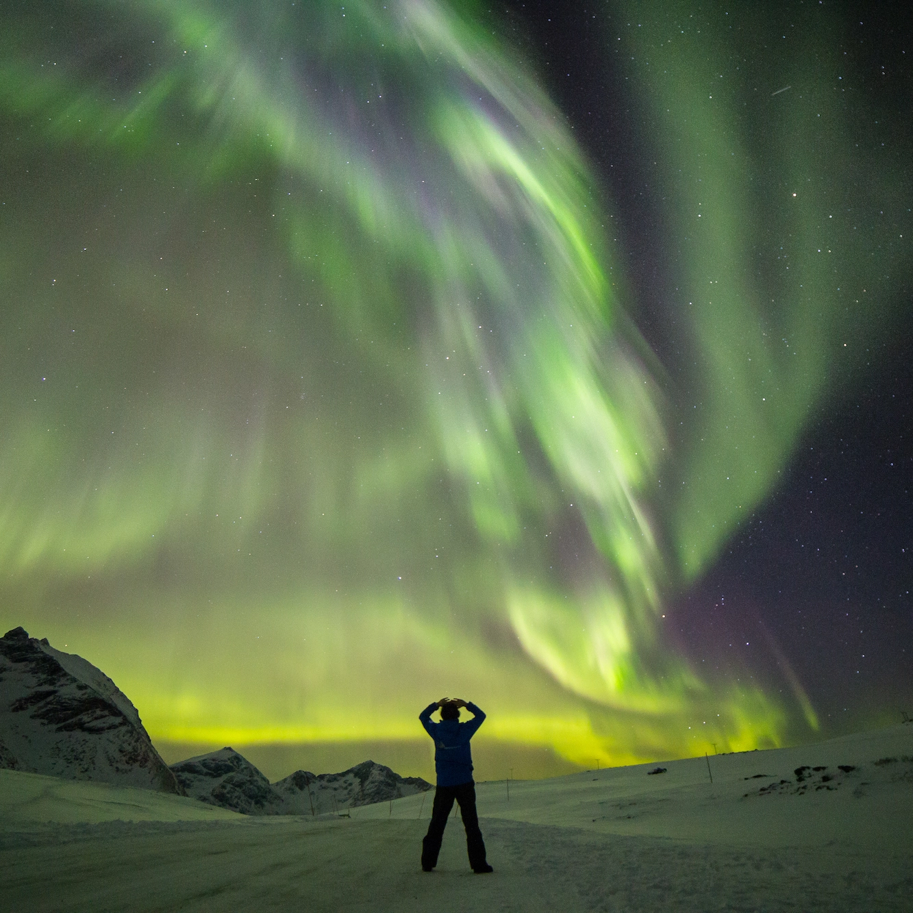 Aurora Safari Tromsø - Northern lights tour from Tromsø, Norway