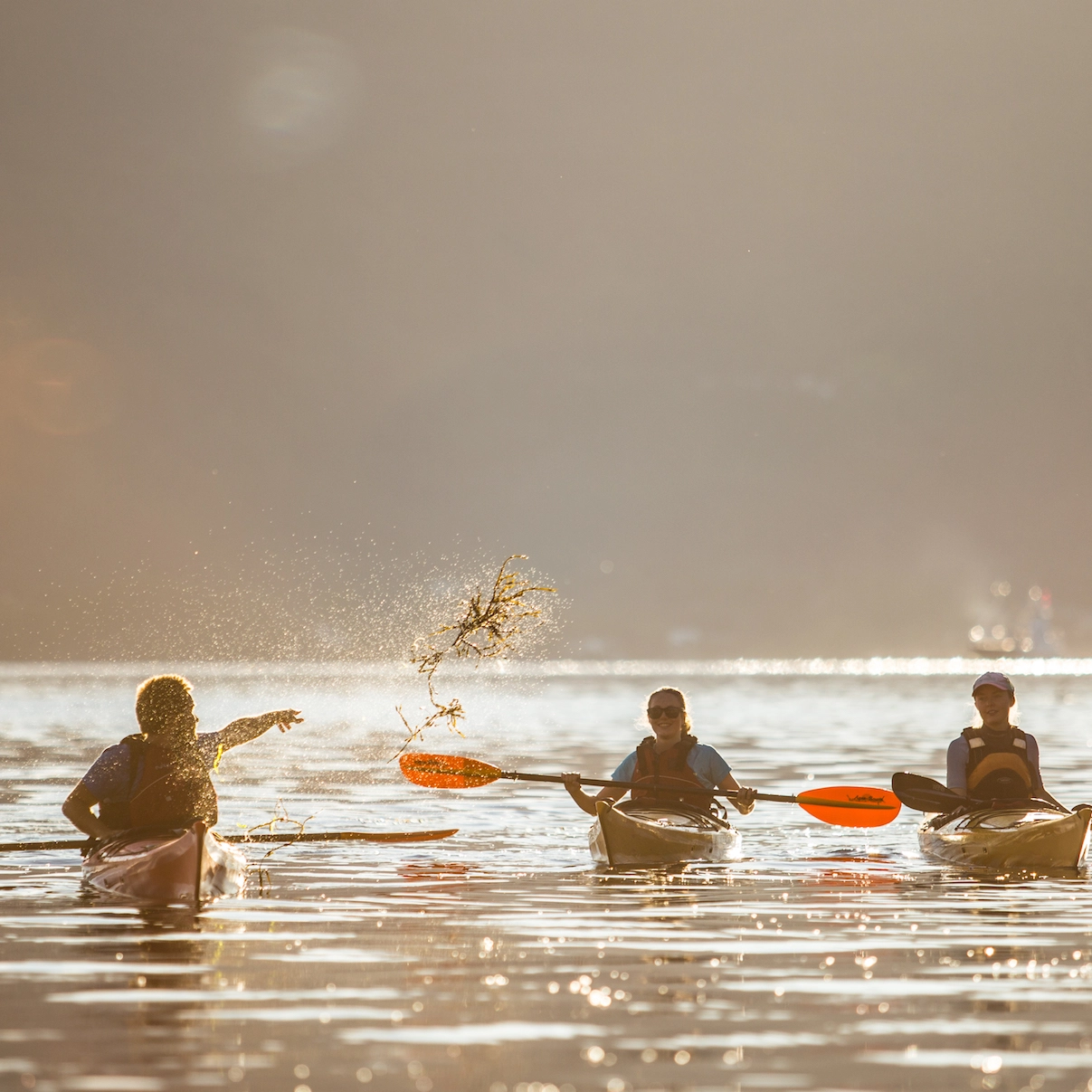 Fjordkajakk i Jondal - Sommer i Hardanger