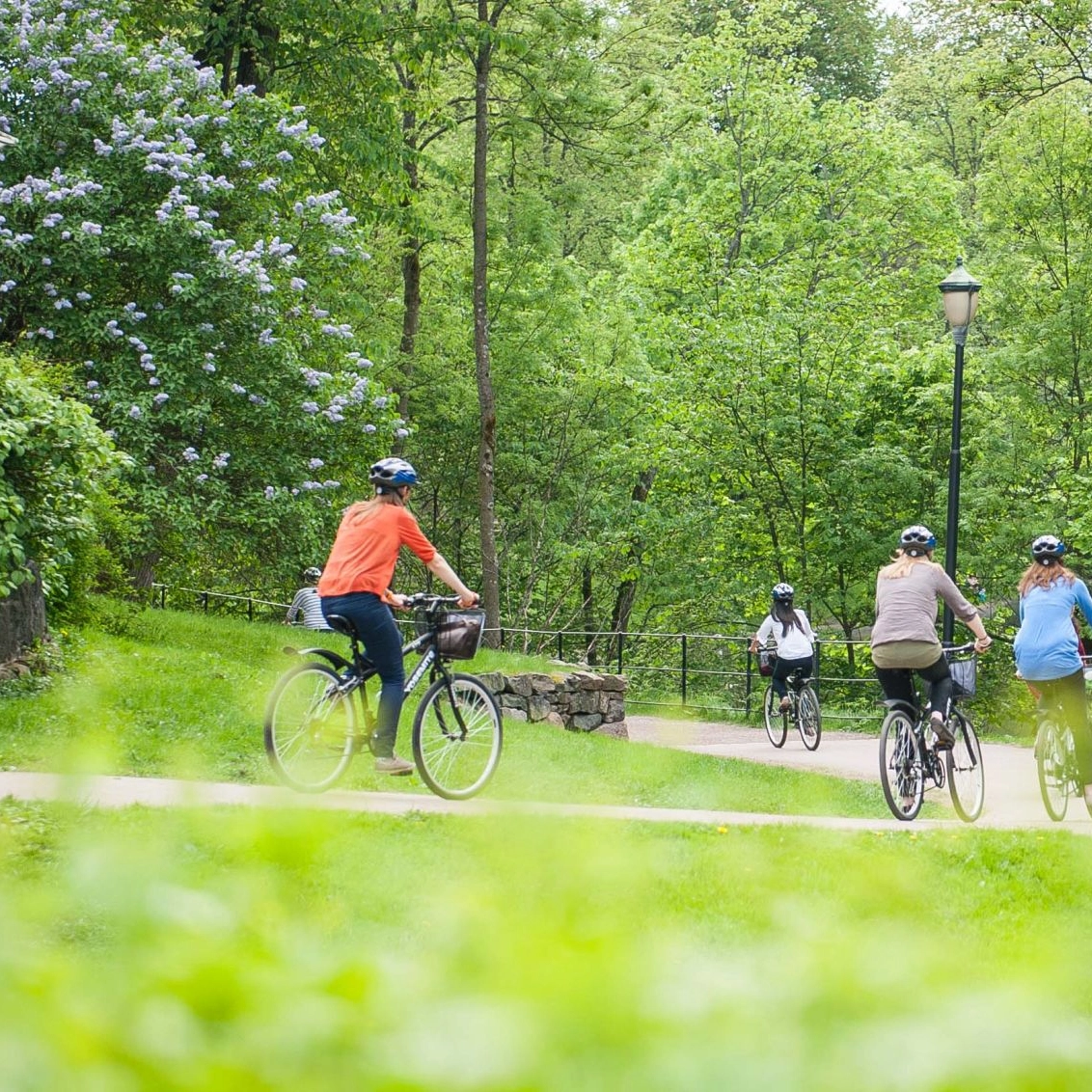 Oslo highlights guided bike tour Oslo Highlights Bike Tour with guide - Activities in Oslo, Norway