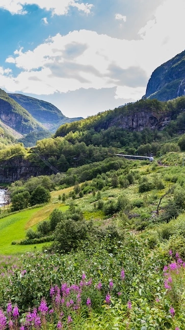 The world-famous Flåm Railway winding through dramatic Norwegian landscape Flåm Railway Norway - Historic train journey through mountains with waterfalls and steep valleys from Myrdal to Flåm